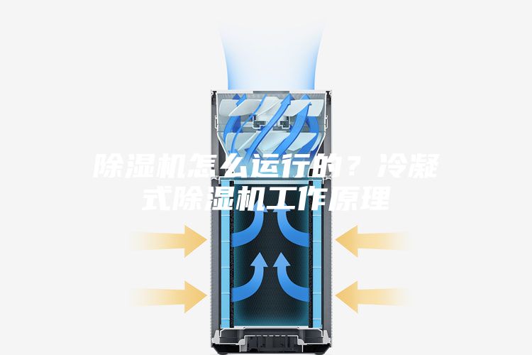 除濕機(jī)怎么運(yùn)行的？冷凝式除濕機(jī)工作原理