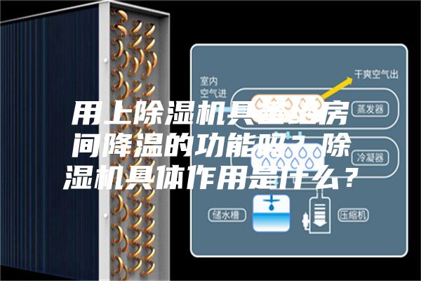 用上除濕機具備給房間降溫的功能嗎？除濕機具體作用是什么？