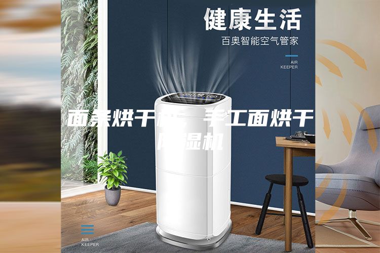 面條烘干機(jī)，手工面烘干除濕機(jī)