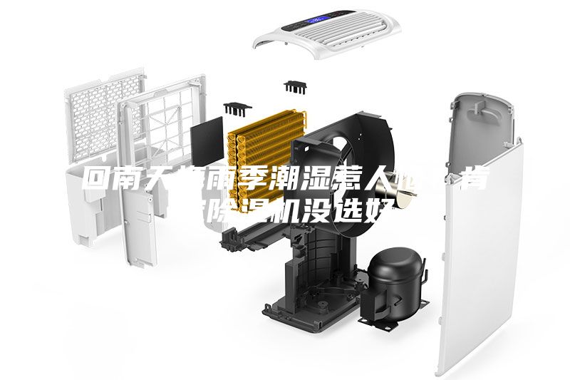 回南天梅雨季潮濕惹人惱？肯定除濕機(jī)沒選好