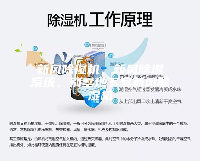 新風(fēng)除濕機(jī)、新風(fēng)除濕系統(tǒng)、別墅地下室新風(fēng)除濕機(jī)