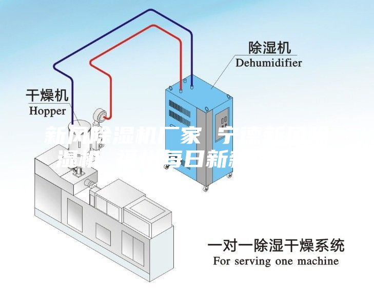 新風除濕機廠家 寧德新風除濕機 福州每日新新風系統(tǒng)