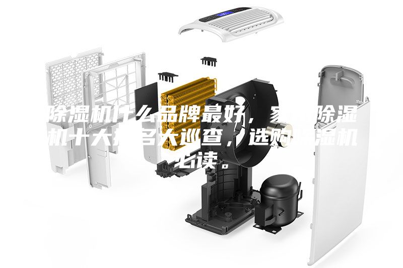 除濕機(jī)什么品牌最好，家用除濕機(jī)十大排名大巡查，選購(gòu)除濕機(jī)必讀。