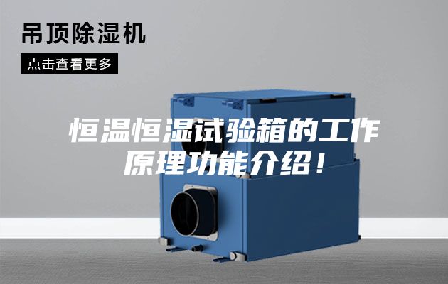 恒溫恒濕試驗箱的工作原理功能介紹！