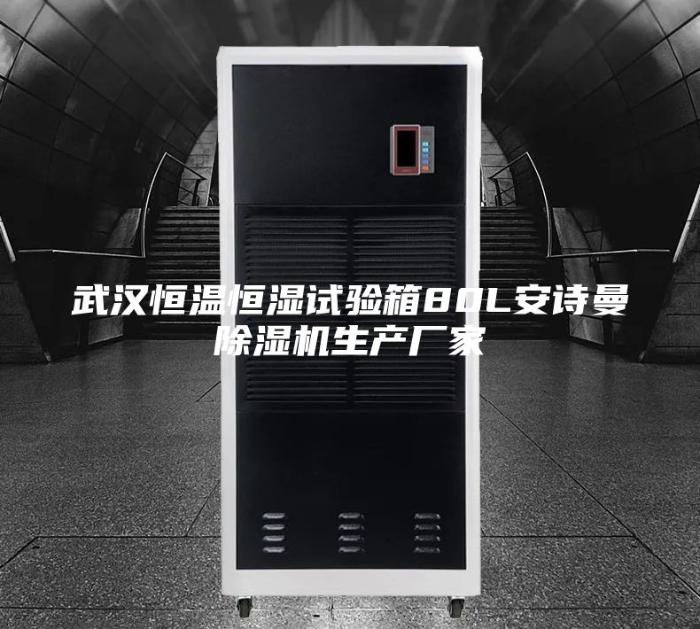 武漢恒溫恒濕試驗(yàn)箱80L安詩曼除濕機(jī)生產(chǎn)廠家