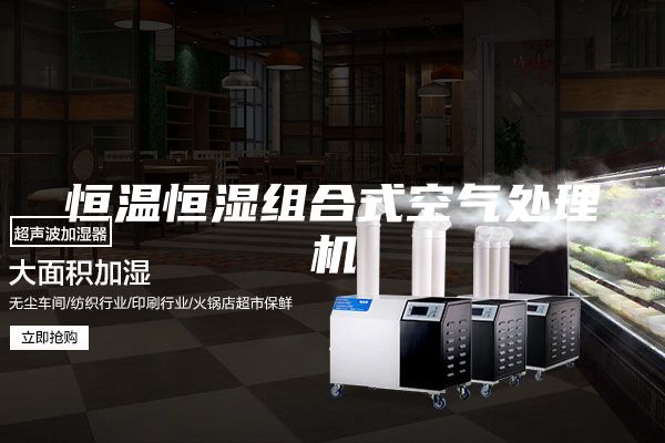 恒溫恒濕組合式空氣處理機