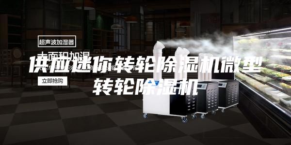 供應迷你轉(zhuǎn)輪除濕機微型轉(zhuǎn)輪除濕機