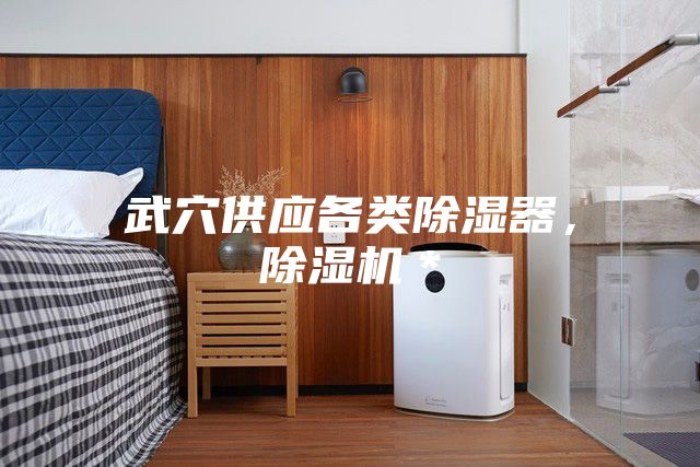 武穴供應(yīng)各類除濕器，除濕機＊