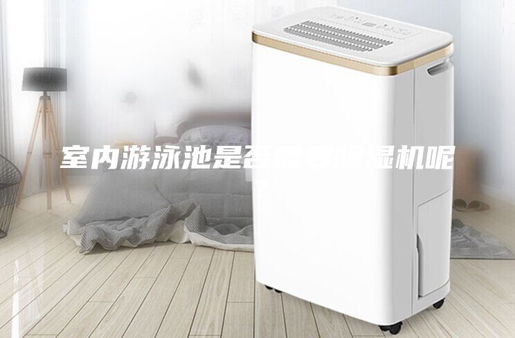 室內游泳池是否需要除濕機呢？