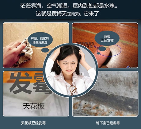 地下室中央新風(fēng)除濕機(jī)，地下室通風(fēng)與除濕解決方案
