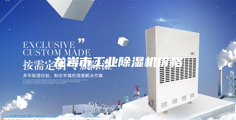龍巖市工業(yè)除濕機價格