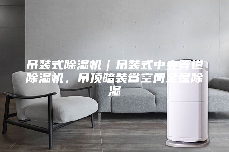 吊裝式除濕機｜吊裝式中央管道除濕機，吊頂暗裝省空間全屋除濕
