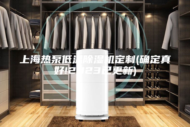 上海熱泵低溫除濕機(jī)定制(確定真好!2023已更新)