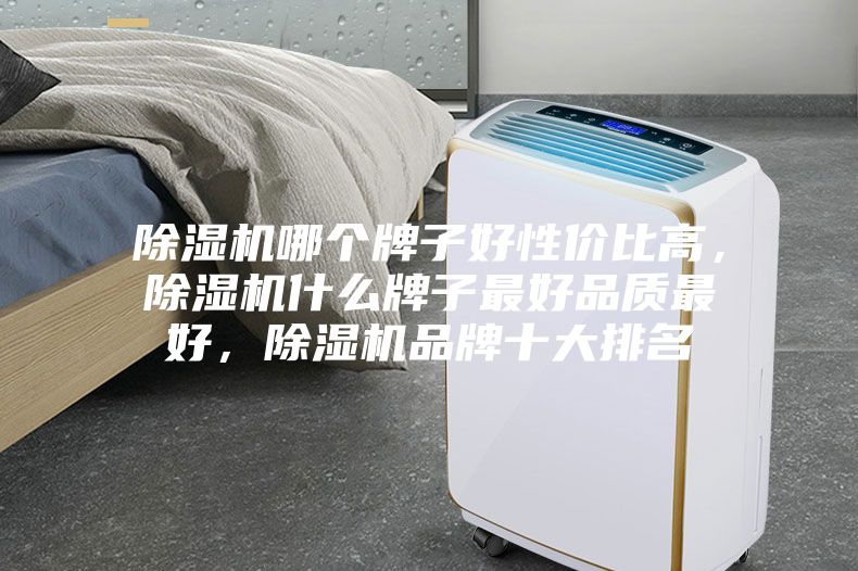 除濕機哪個牌子好性價比高，除濕機什么牌子最好品質最好，除濕機品牌十大排名