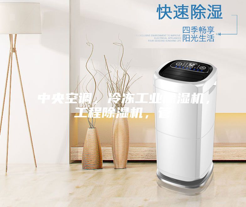 中央空調，冷凍工業除濕機，工程除濕機，管