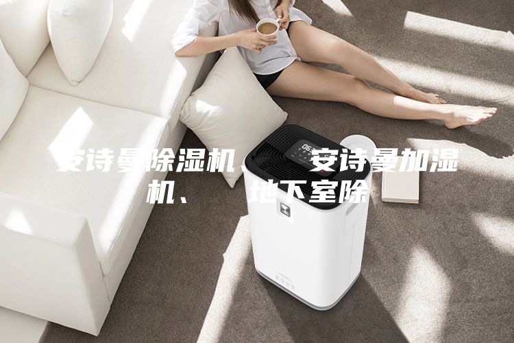 安詩(shī)曼除濕機(jī)、  安詩(shī)曼加濕機(jī)、  地下室除
