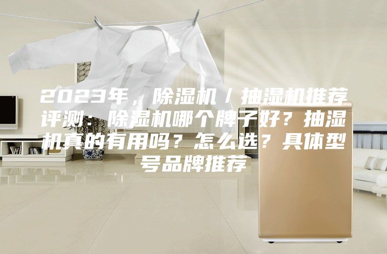 2023年，除濕機(jī)／抽濕機(jī)推薦評測：除濕機(jī)哪個牌子好？抽濕機(jī)真的有用嗎？怎么選？具體型號品牌推薦