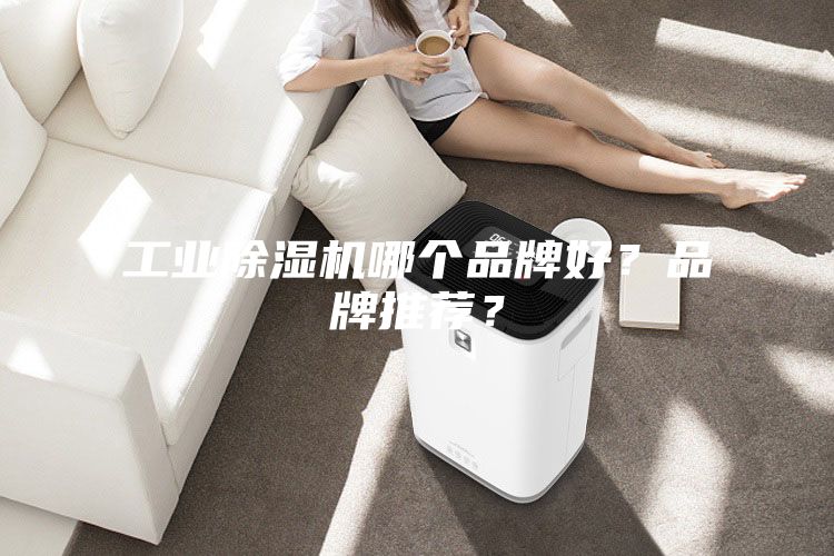 工業除濕機哪個品牌好？品牌推薦？