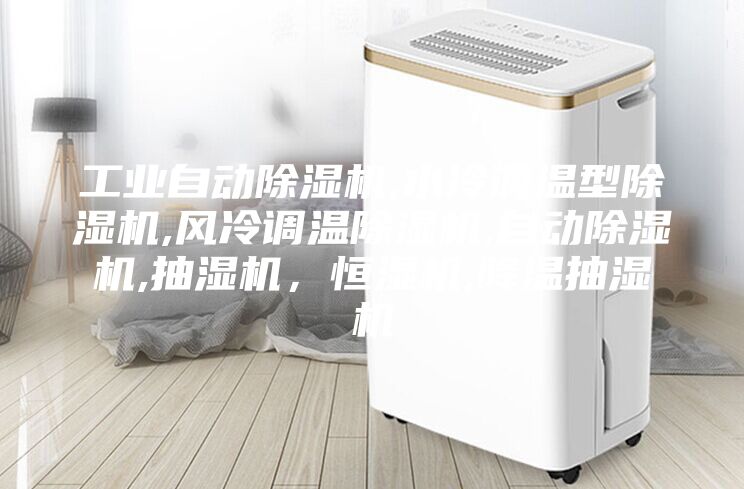 工業(yè)自動除濕機,水冷調(diào)溫型除濕機,風冷調(diào)溫除濕機,自動除濕機,抽濕機，恒濕機,降溫抽濕機