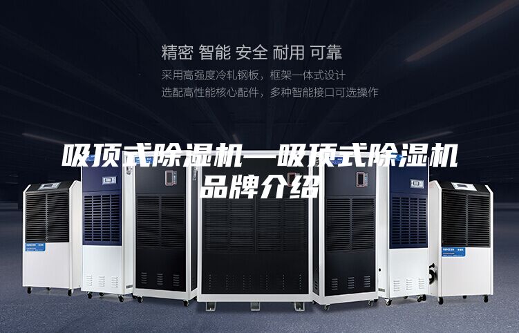 吸頂式除濕機—吸頂式除濕機品牌介紹