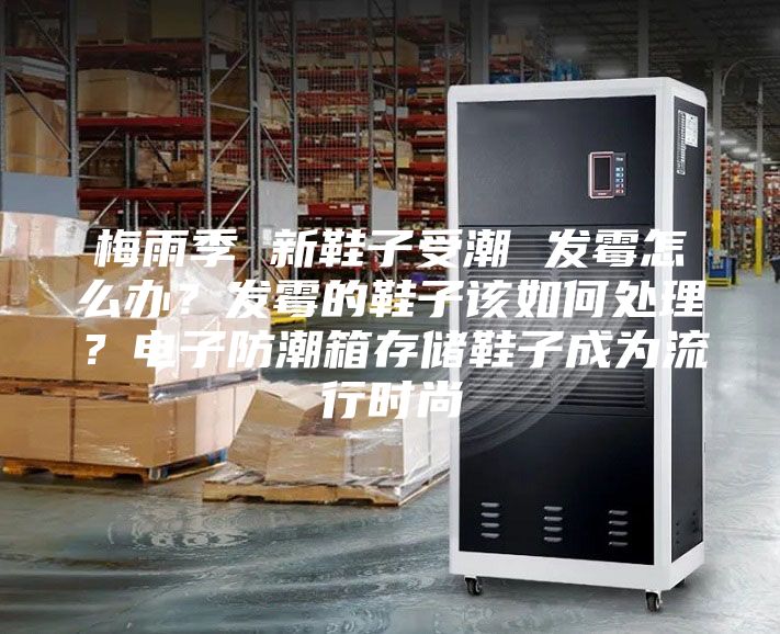 梅雨季 新鞋子受潮 發霉怎么辦？發霉的鞋子該如何處理？電子防潮箱存儲鞋子成為流行時尚