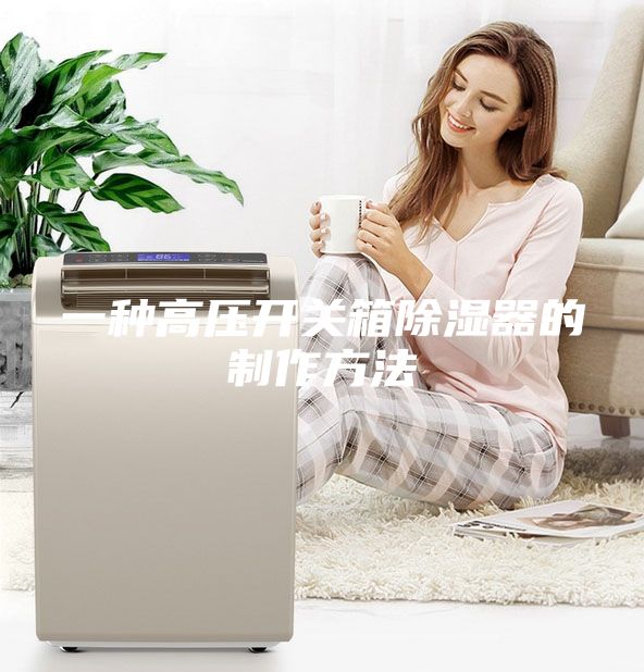 一種高壓開(kāi)關(guān)箱除濕器的制作方法