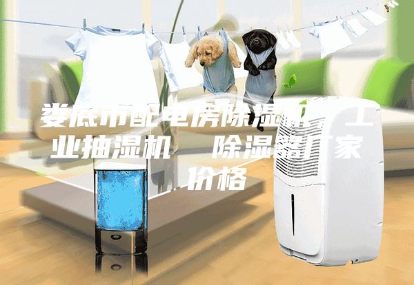 婁底市配電房除濕機，工業(yè)抽濕機  除濕器廠家 價格