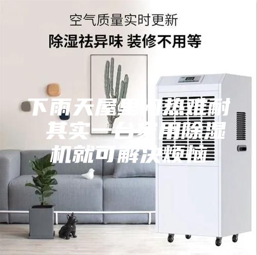 下雨天屋里悶熱難耐 其實(shí)一臺(tái)家用除濕機(jī)就可解決煩惱