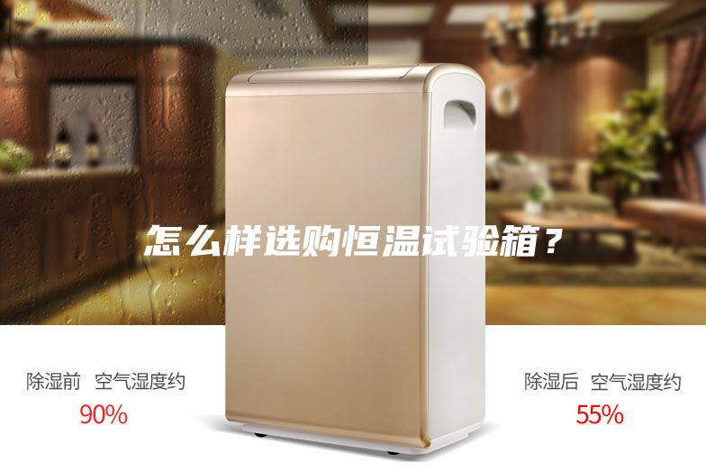 怎么樣選購恒溫試驗(yàn)箱？