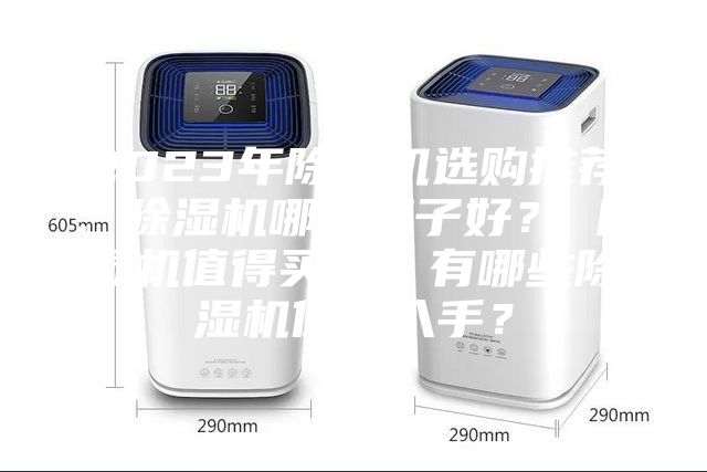 2023年除濕機選購推薦：除濕機哪個牌子好？ 除濕機值得買嗎？有哪些除濕機值得入手？