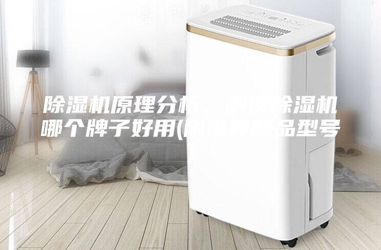 除濕機(jī)原理分析，解讀除濕機(jī)哪個(gè)牌子好用(附推薦精品型號(hào))