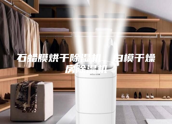 石蠟膜烘干除濕機，白模干燥房除濕機