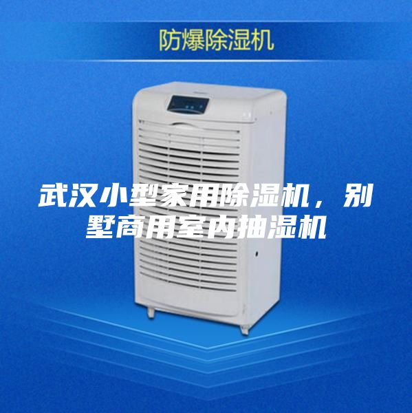 武漢小型家用除濕機(jī)，別墅商用室內(nèi)抽濕機(jī)