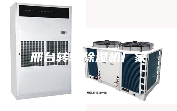 邢臺(tái)轉(zhuǎn)輪除濕機(jī)廠家