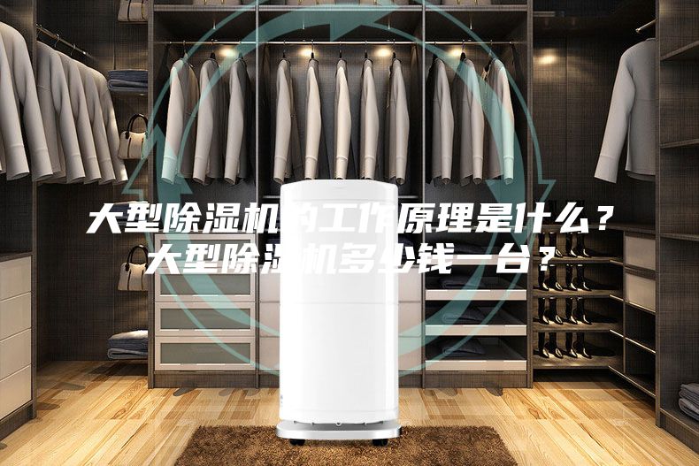 大型除濕機的工作原理是什么？大型除濕機多少錢一臺？