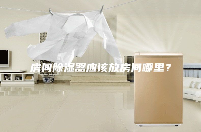 房間除濕器應該放房間哪里？