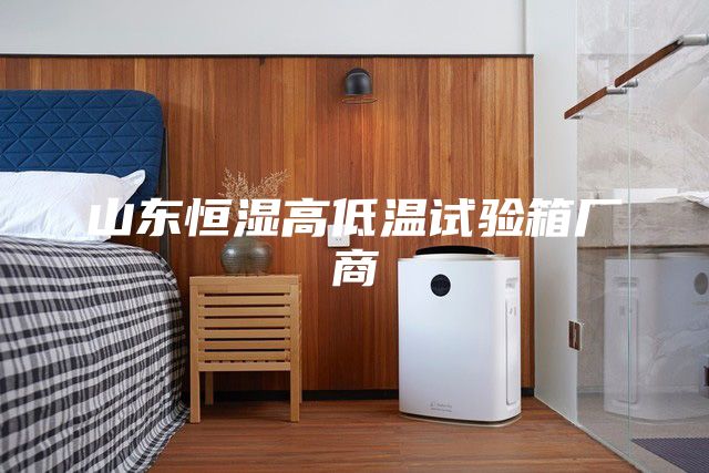 山東恒濕高低溫試驗(yàn)箱廠商