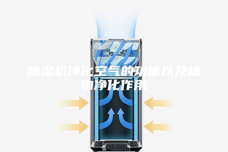 除濕機(jī)凈化空氣的功能以及植物凈化作用