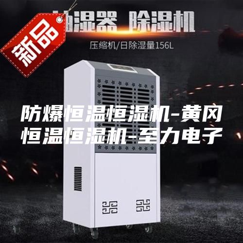 防爆恒溫恒濕機-黃岡恒溫恒濕機-至力電子