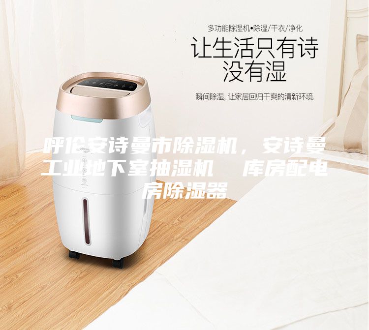 呼倫安詩曼市除濕機(jī)，安詩曼工業(yè)地下室抽濕機(jī)  庫房配電房除濕器