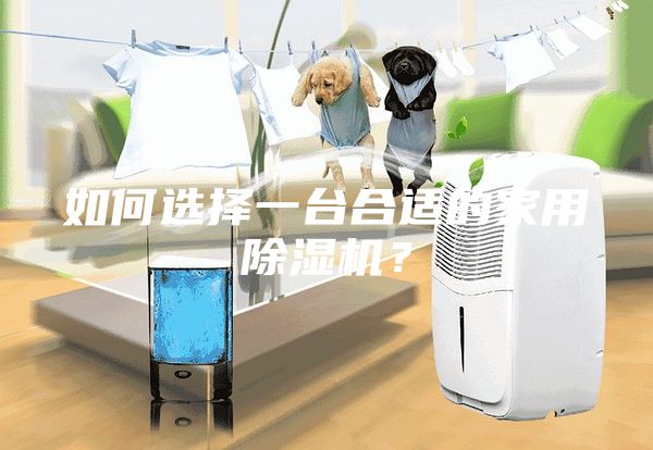 如何選擇一臺(tái)合適的家用除濕機(jī)？