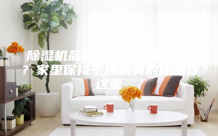 除濕機品牌十大排名哪個好？家里保持干燥清爽的秘密在這里