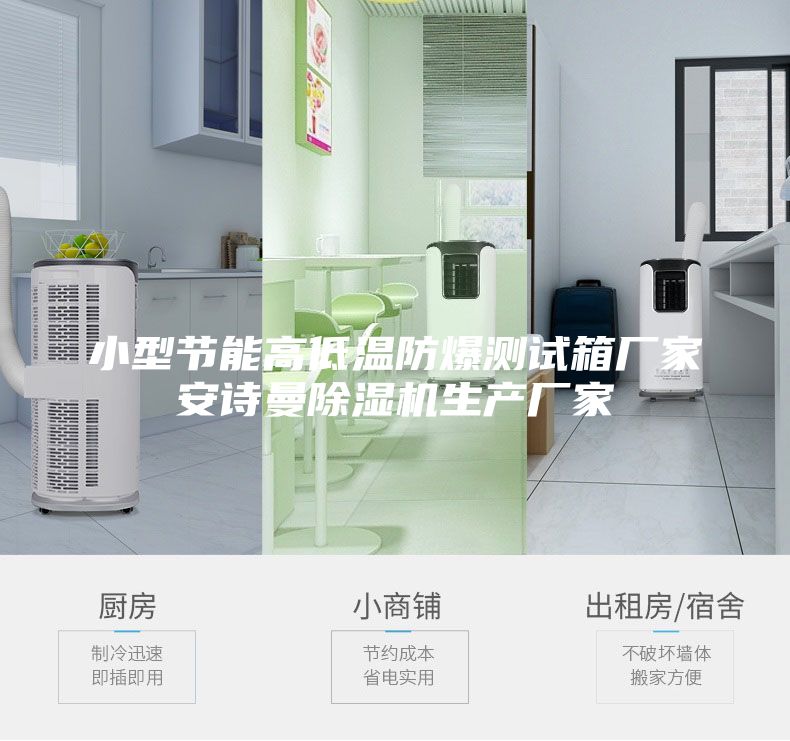 小型節(jié)能高低溫防爆測(cè)試箱廠家安詩(shī)曼除濕機(jī)生產(chǎn)廠家