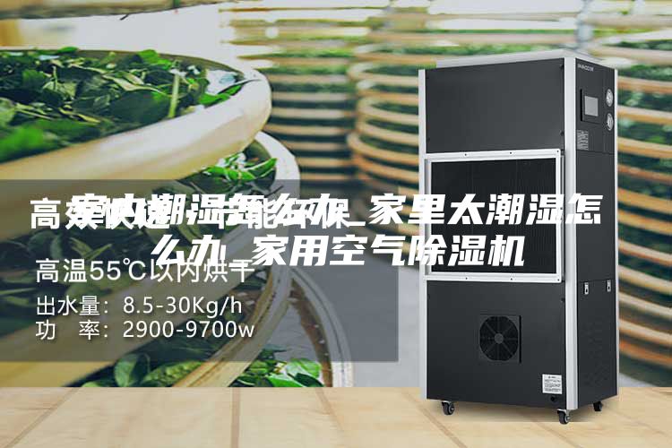 室內(nèi)潮濕怎么辦_家里太潮濕怎么辦_家用空氣除濕機