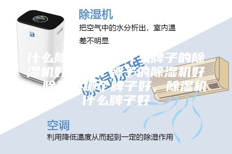 什么除濕機(jī)好，什么牌子的除濕機(jī)好，哪個(gè)牌子的除濕機(jī)好，除濕機(jī)哪個(gè)牌子好，除濕機(jī)什么牌子好