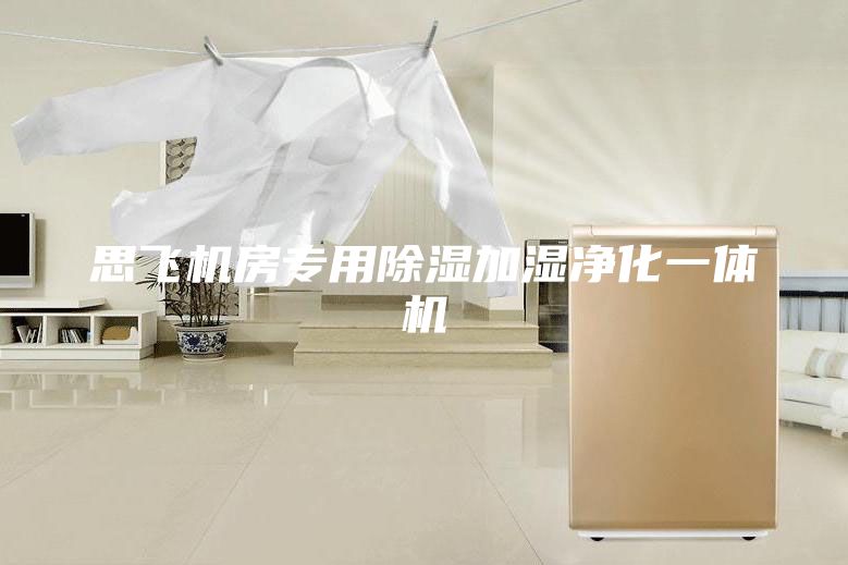 思飛機(jī)房專用除濕加濕凈化一體機(jī)