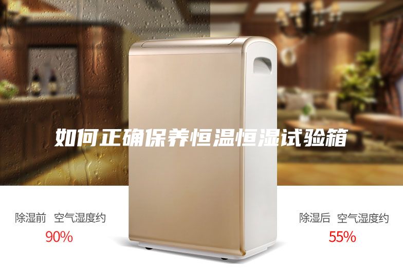 如何正確保養(yǎng)恒溫恒濕試驗(yàn)箱