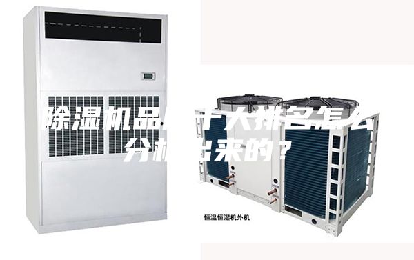 除濕機(jī)品牌十大排名怎么分析出來(lái)的？