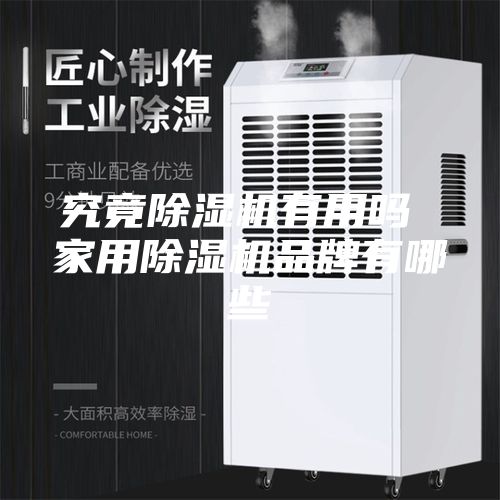 究竟除濕機(jī)有用嗎 家用除濕機(jī)品牌有哪些