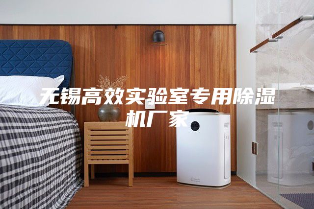 無(wú)錫高效實(shí)驗(yàn)室專(zhuān)用除濕機(jī)廠家